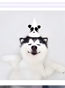 重生成为二哈