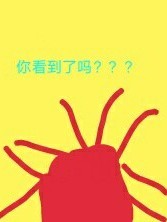 你看到了吗？