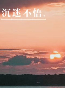 沉迷不悟
