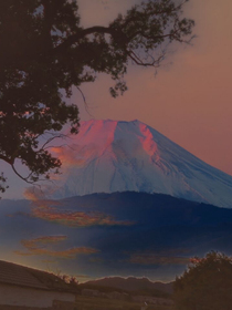生活之事，不足为虑