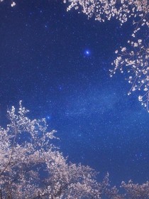 自此銷煙四起