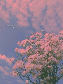 好看的手机壁纸