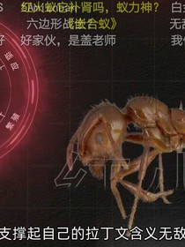 关键词游戏