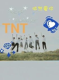 TNT——依然爱你