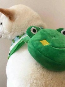 重生之路故人归