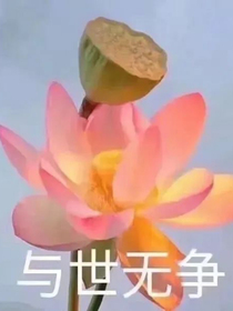 直男神仙在凡界