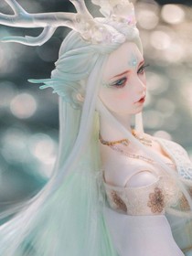 斗龙战士之神圣的守护