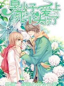 臭小子爱上丫头了