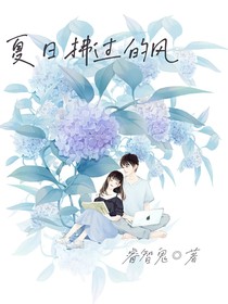 夏日拂過(guò)的風(fēng)