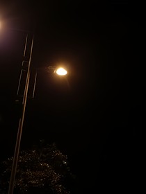 先讓愛偏愛-d294