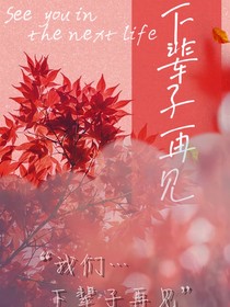 下辈子见吧