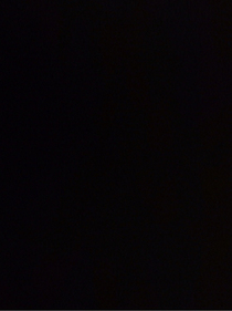 迷离l