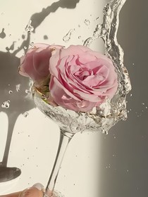 醉酒拾甜