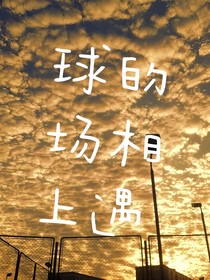 球场上的相遇