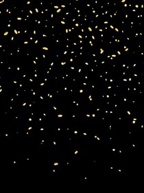 天空中一定有一颗属于你的星星