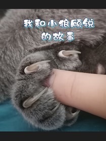 我和顾锐的故事