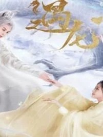龙王大人和小流萤的日常