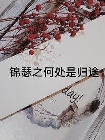 锦瑟之何处是归途