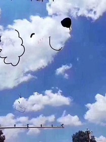 星光少女极光之梦组合2011年1