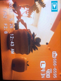 心生而向往