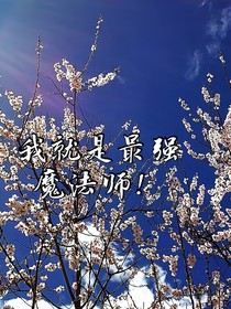 我就是最强魔法师！