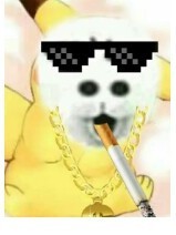 就是要横，不服也要宠