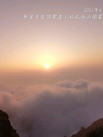 西梅子