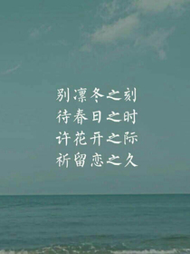 反黑小助理