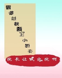 霸道总裁爱上小娇夫