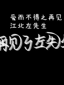 再见了，江北左先生