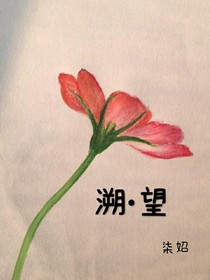 溯望