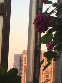 德云社：你们别给我跑