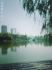 总是相在心上