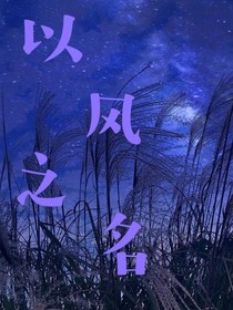 以風之名——d669