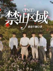 TNT：禁止區(qū)域