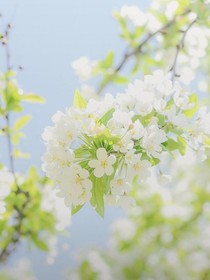 路途遥远，漫漫长夜