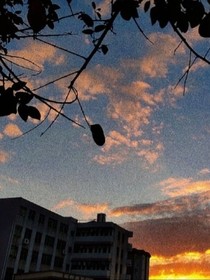 三月炽夏
