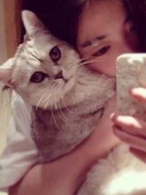 我的猫朋友梨花