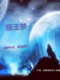 狼王夢續(xù)寫———緣夢今生，夜嵐圓夢