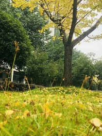 不叫ABC我叫傅喬