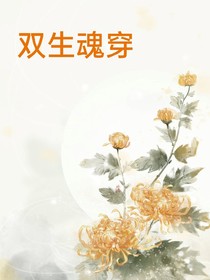 双生魂穿