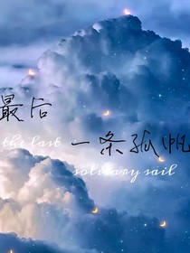 最后一条孤帆-d487