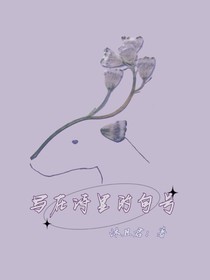 写在诗里的句号-d495