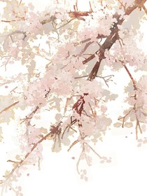 霧沉白麟