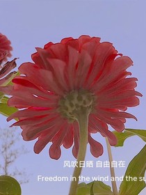 知否之小人物