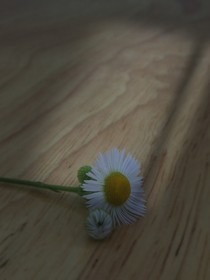 始冬