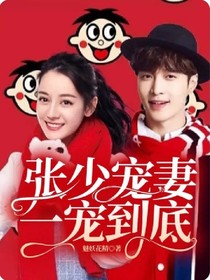 张少宠妻一宠到底