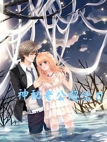 神秘老公超给力