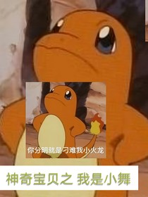 神奇寶貝之我是小舞