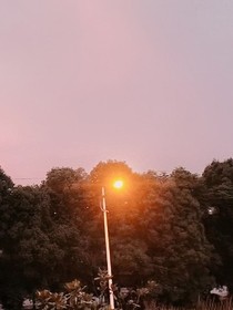 異世界的和平